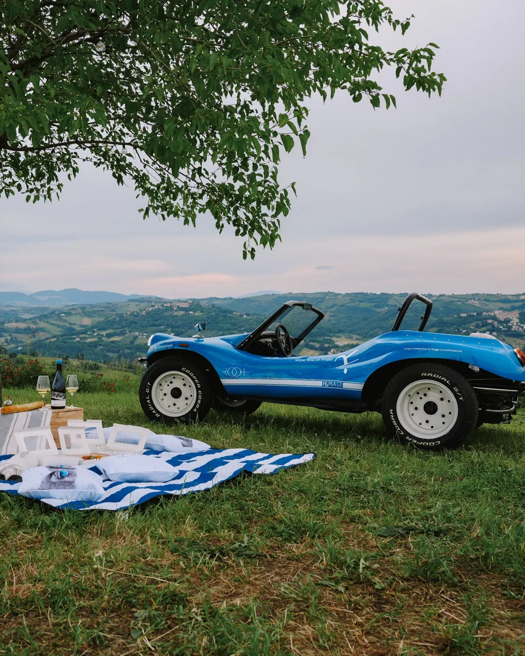 A picnic in the vineyard with the blue ROOT buggy